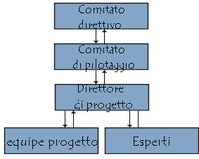 executive committee and steering committee