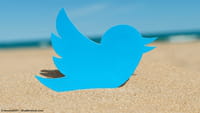 Twitter Lite app nei Paesi emergenti