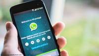 WhatsApp fake news codice della strada