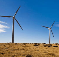 Google diventa sempre più green